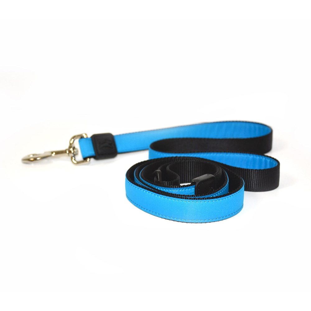 1in Nylon Blue Dog Leash | Collars, Leashes & Harnesses Collars, Leashes & Harnesses Collars, Leashes & Harnesses