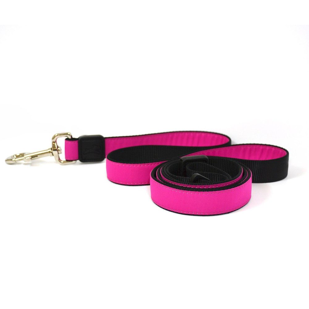 1in Nylon Pink Dog Leash | Collars, Leashes & Harnesses Collars, Leashes & Harnesses Collars, Leashes & Harnesses