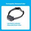 300 Metre Remote Trainer Dog Collar | Collars, Leashes & Harnesses Collars, Leashes & Harnesses Collars, Leashes & Harnesses