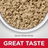 Adult Hairball Control Savory Chicken Entree / 5.5 oz – 24 pk | Wet Food Cat Cat