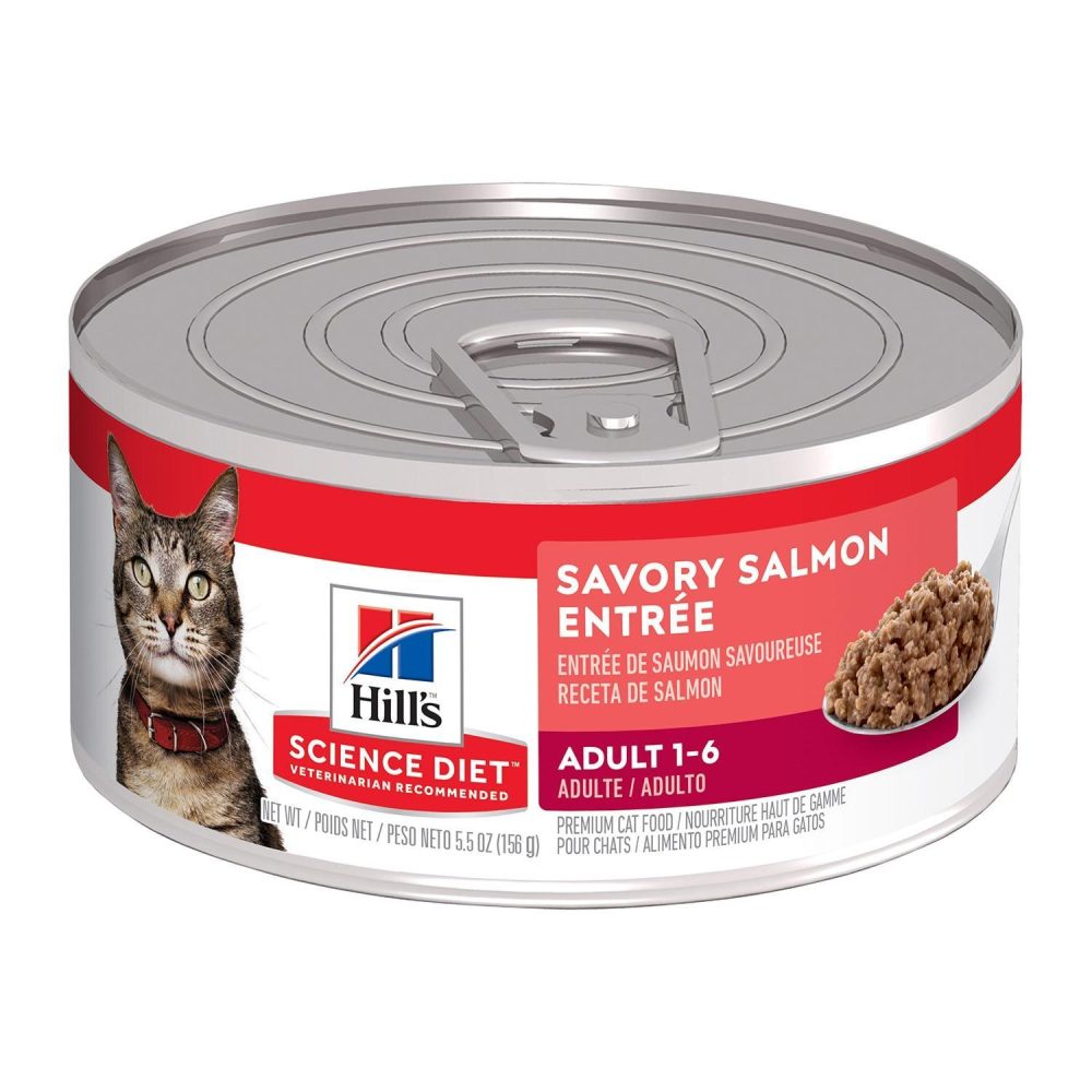 Adult Savory Salmon Entree Minced / 5.5 oz – 24 pk | Wet Food Cat Cat