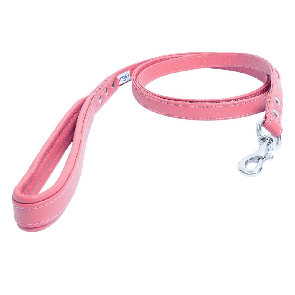 Alpine Dog Leash Leather 72in – Bubblegum Pink | Collars, Leashes & Harnesses Collars, Leashes & Harnesses Collars, Leashes & Harnesses