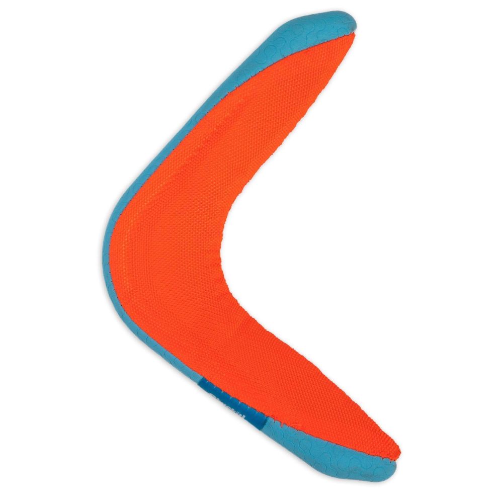 Amphibious Boomerang in Assorted Colours Dog Toy | Toys Dog Dog