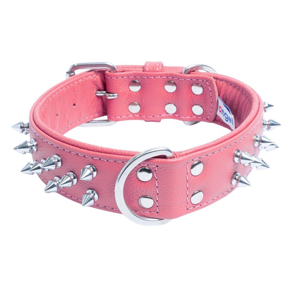 Amsterdam Dog Collar Leather Spiked – Bubblegum Pink | Collars, Leashes & Harnesses Collars, Leashes & Harnesses Collars, Leashes & Harnesses