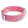 Amsterdam Dog Collar Leather Spiked – Bubblegum Pink | Collars, Leashes & Harnesses Collars, Leashes & Harnesses Collars, Leashes & Harnesses