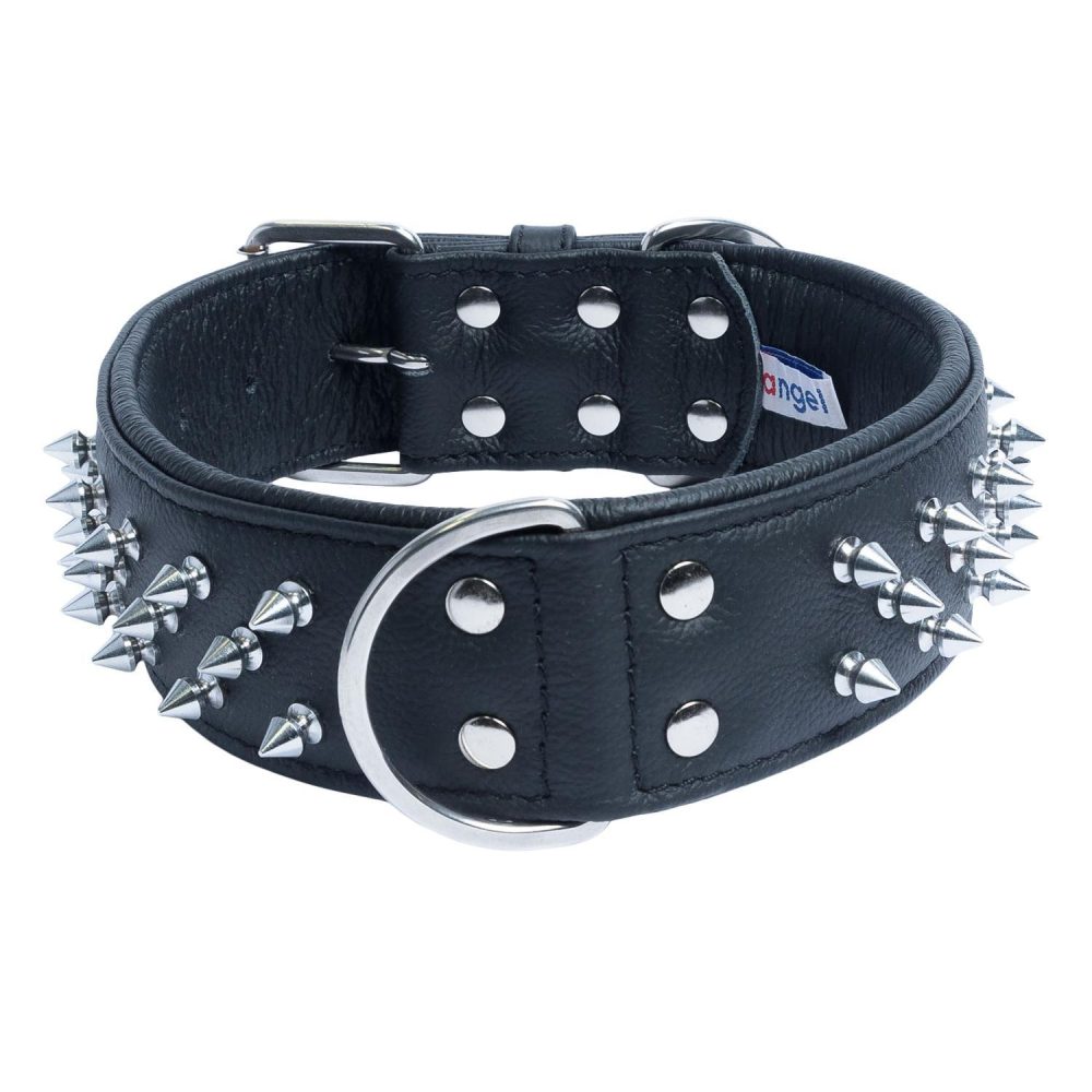 Amsterdam Dog Collar Leather Spiked Midnight Black | Collars, Leashes & Harnesses Collars, Leashes & Harnesses Collars, Leashes & Harnesses