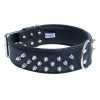 Amsterdam Dog Collar Leather Spiked Midnight Black | Collars, Leashes & Harnesses Collars, Leashes & Harnesses Collars, Leashes & Harnesses