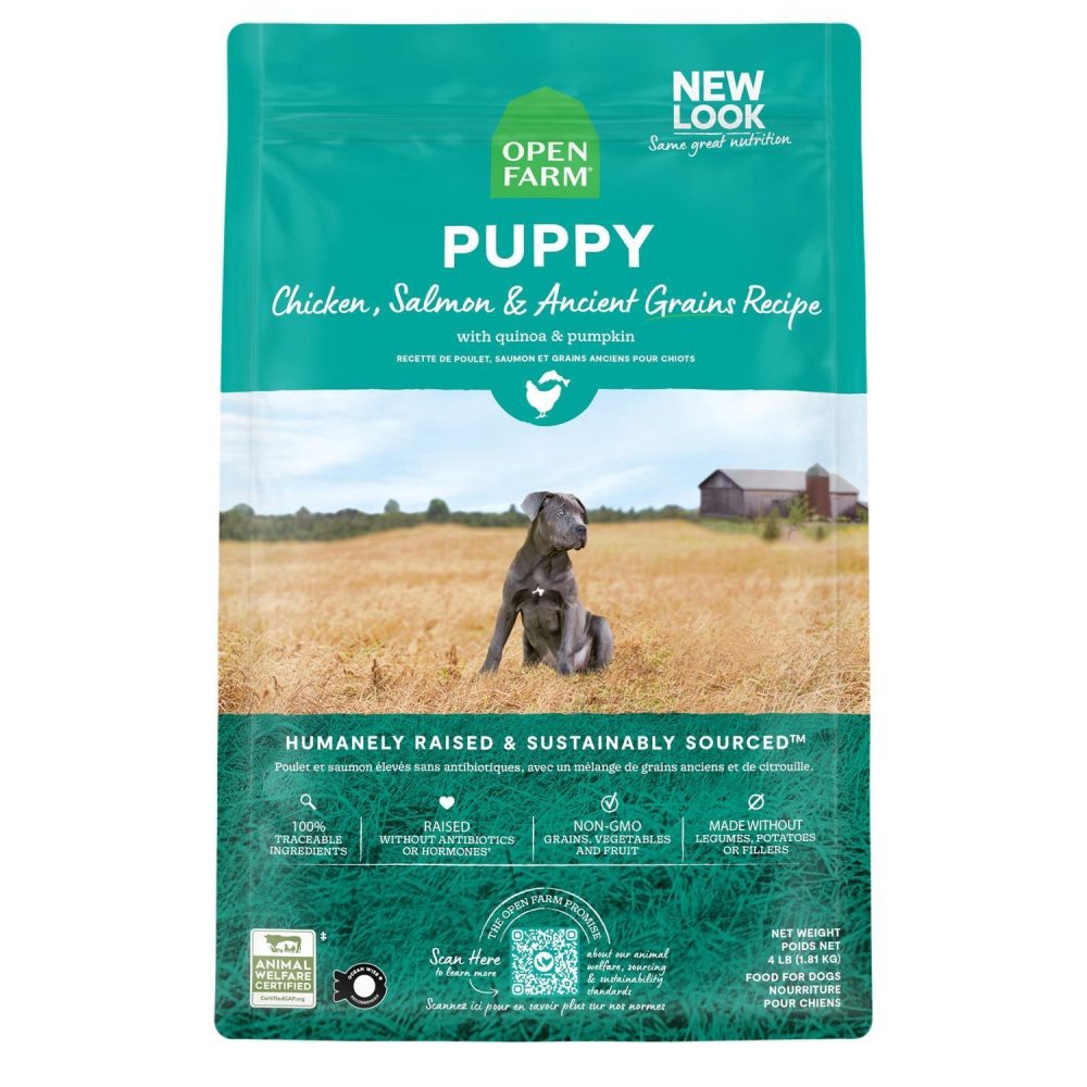 Ancient Grains Puppy Recipe Dog Food | Dry Food Dog Dog