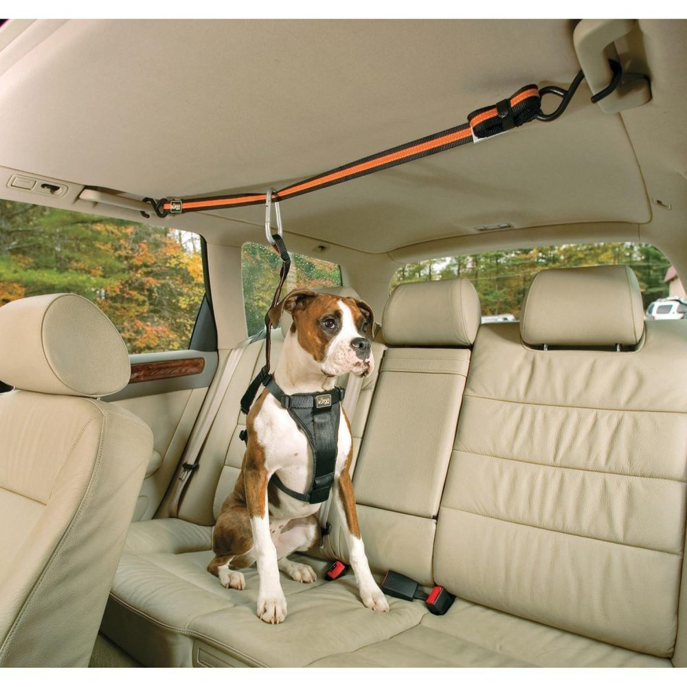 Auto Zip Line With Leash | Carriers & Travel Accessories Carriers & Travel Accessories Carriers & Travel Accessories