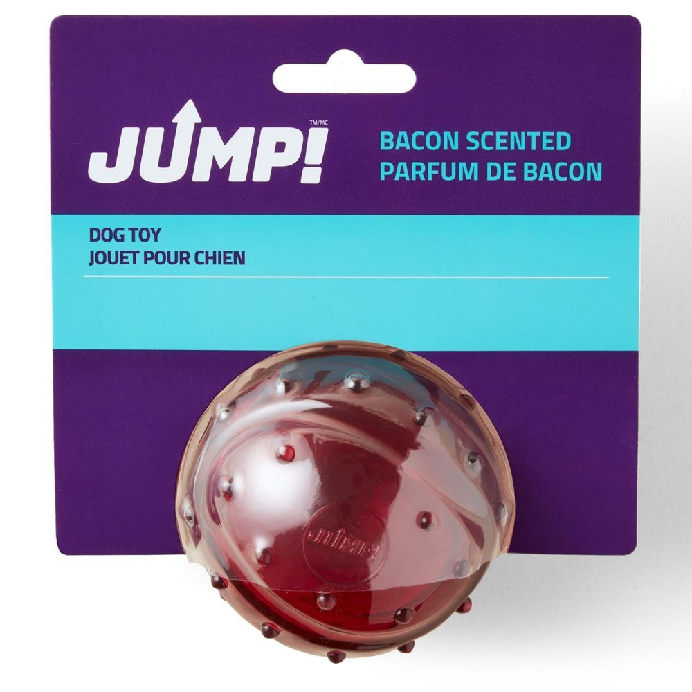 Bacon Scented Ball Dog Toy | Toys Dog Dog