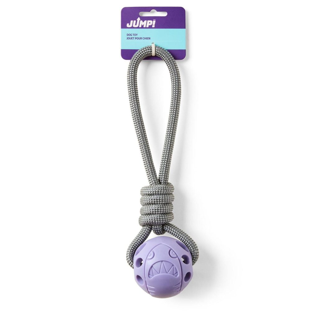 Ball on a Rope Purple Dog Toy | Toys Dog Dog