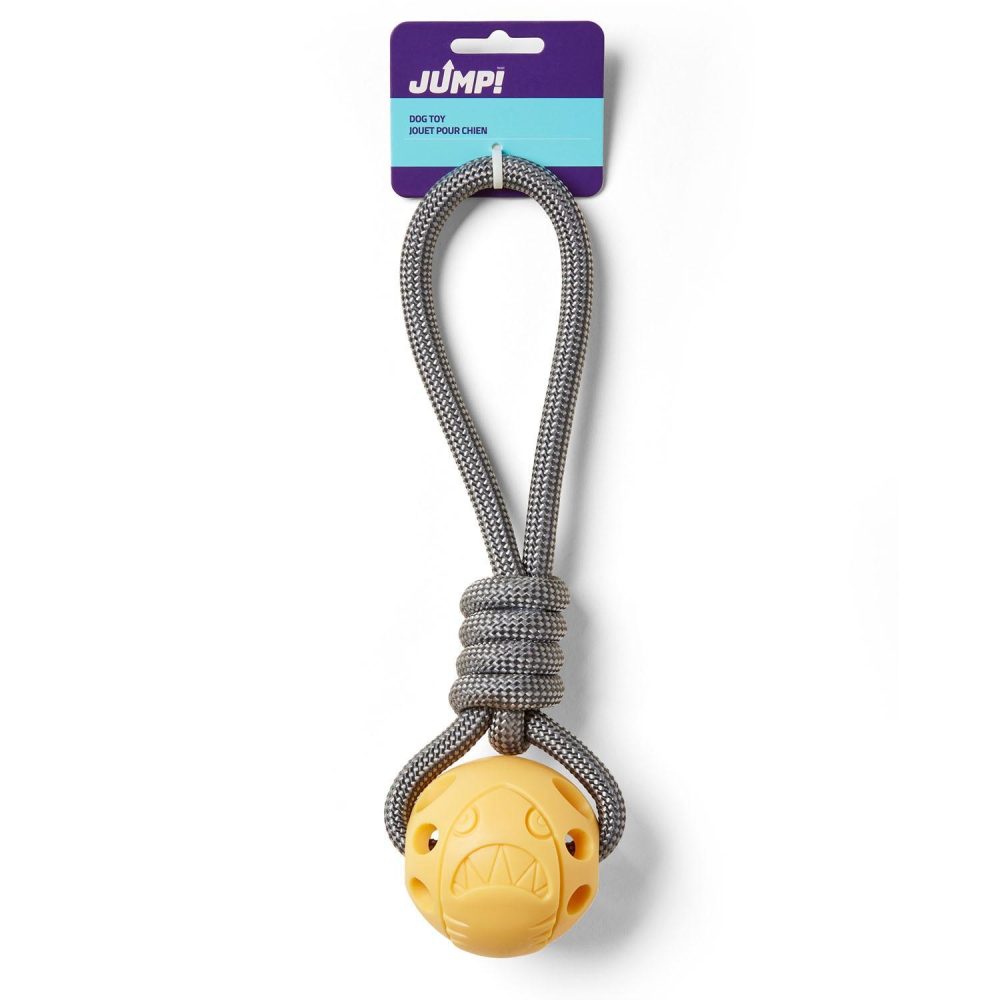 Ball on a Rope Yellow Dog Toy | Toys Dog Dog