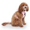 Barbie Everything Checkered Dog Harness | Collars, Leashes & Harnesses Collars, Leashes & Harnesses Collars, Leashes & Harnesses