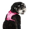 Barbie Everything Dog Harness | Collars, Leashes & Harnesses Collars, Leashes & Harnesses Collars, Leashes & Harnesses