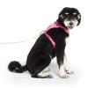 Barbie Everything Dog Harness | Collars, Leashes & Harnesses Collars, Leashes & Harnesses Collars, Leashes & Harnesses