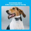 Bark Dog Collar | Collars, Leashes & Harnesses Collars, Leashes & Harnesses Collars, Leashes & Harnesses