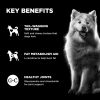 Benefit Chews Weight Management + Joint Care Chicken Recipe Dog Treats | Training Treats Dog Dog