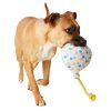 Birthday Balloon Dog Toy | Toys Dog Dog