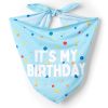 Birthday Bandana | Clothing & Accessories Clothing & Accessories Clothing & Accessories