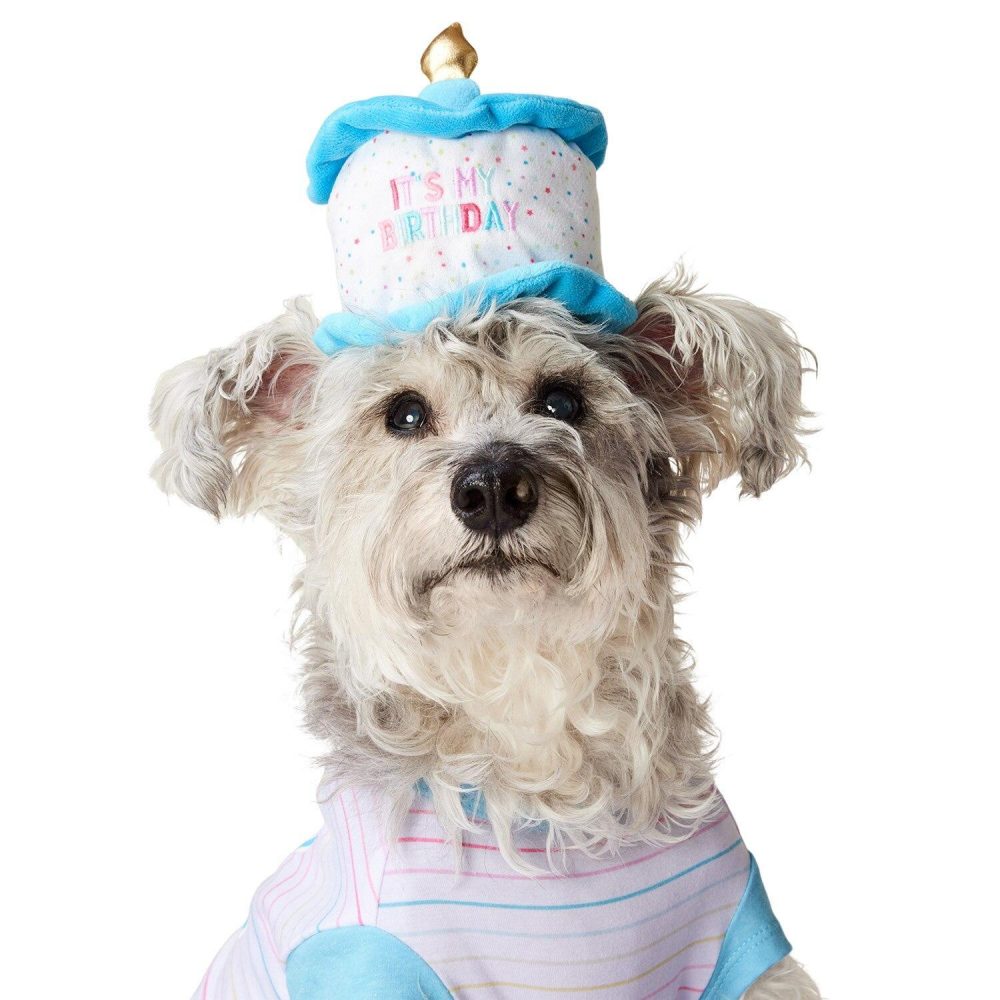 Birthday Cake Hat | Clothing & Accessories Clothing & Accessories Clothing & Accessories