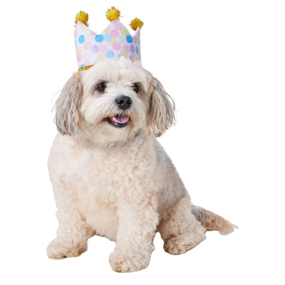 Birthday Crown Hat | Clothing & Accessories Clothing & Accessories Clothing & Accessories