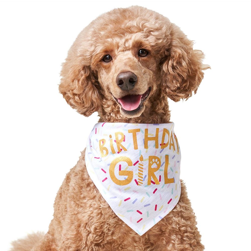 Birthday Girl Bandana | Clothing & Accessories Clothing & Accessories Clothing & Accessories