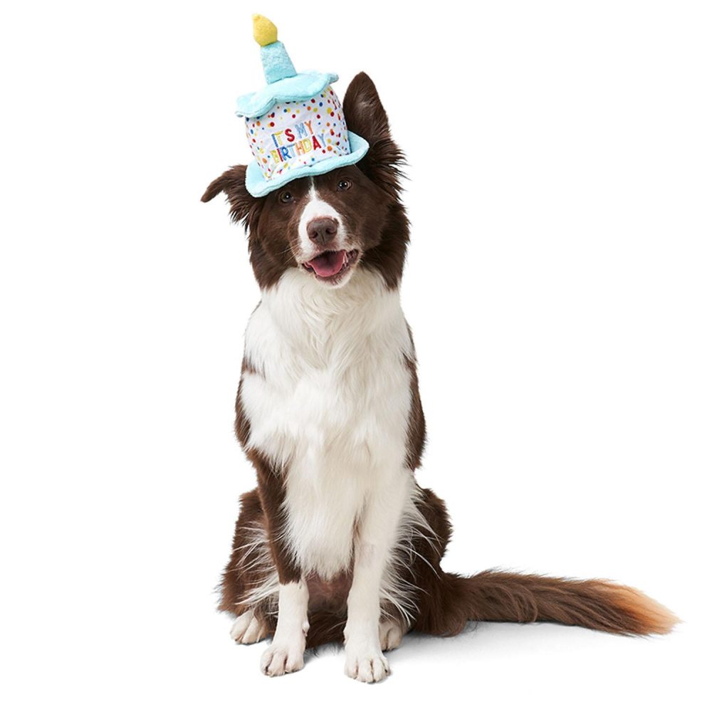 Birthday Hat | Clothing & Accessories Clothing & Accessories Clothing & Accessories