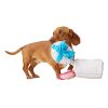 Birthday Present Dog Toy | Toys Dog Dog