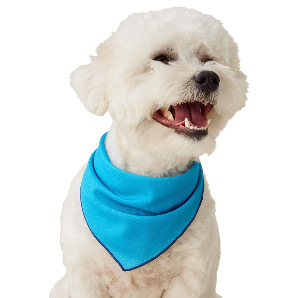 Blue Cooling Bandana | Clothing & Accessories Clothing & Accessories Clothing & Accessories