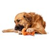 Bully Stick Holder Dog Toy | Toys Dog Dog