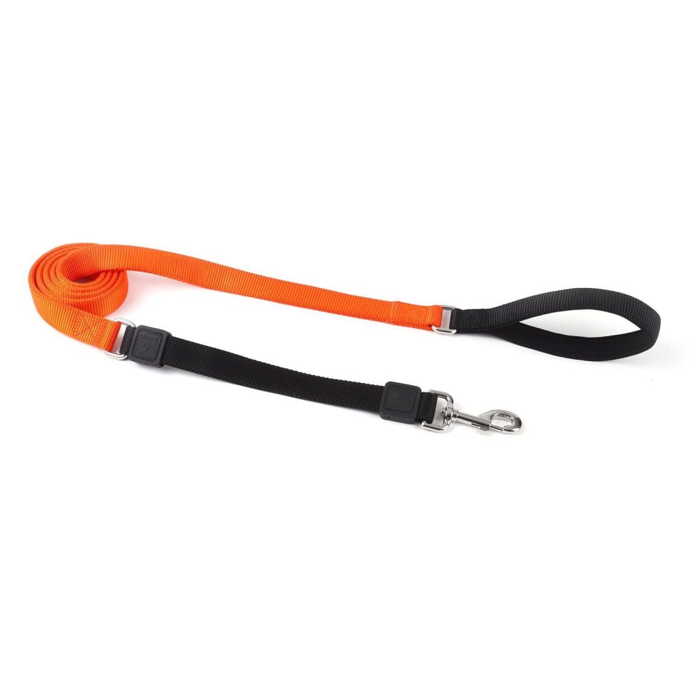 Bungee 1in Orange Dog Leash | Collars, Leashes & Harnesses Collars, Leashes & Harnesses Collars, Leashes & Harnesses