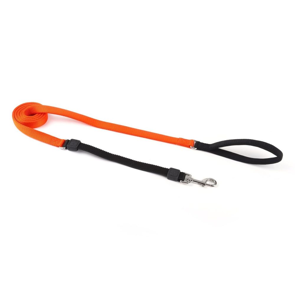 Bungee 3/4in Orange Dog Leash | Collars, Leashes & Harnesses Collars, Leashes & Harnesses Collars, Leashes & Harnesses