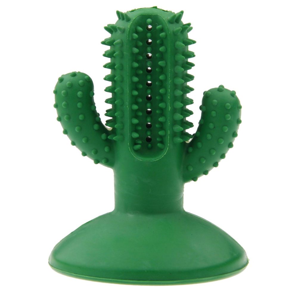 Cactus Suction Dog Toy | Toys Dog Dog