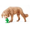 Cactus Suction Dog Toy | Toys Dog Dog