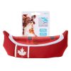 Canoe Floating Dog Toy | Toys Dog Dog