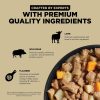 Carnivore Grain-Free Shredded Lamb + Wild Boar Recipe Dog Food / 12.5 oz – 12 pk | Wet Food Dog Dog