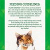 Catnip Flavour Dental Cat Treats | Treats Cat Cat