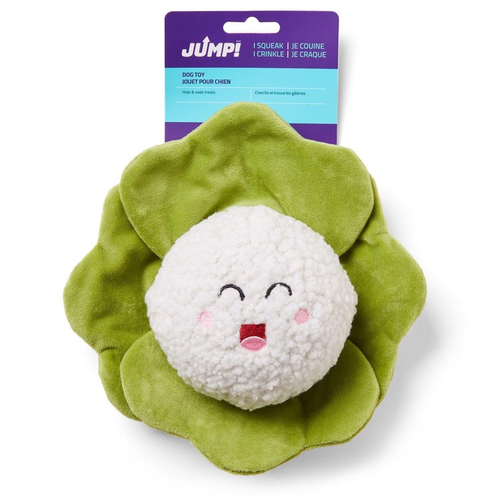 Cauliflower Ball Dog Toy | Toys Dog Dog