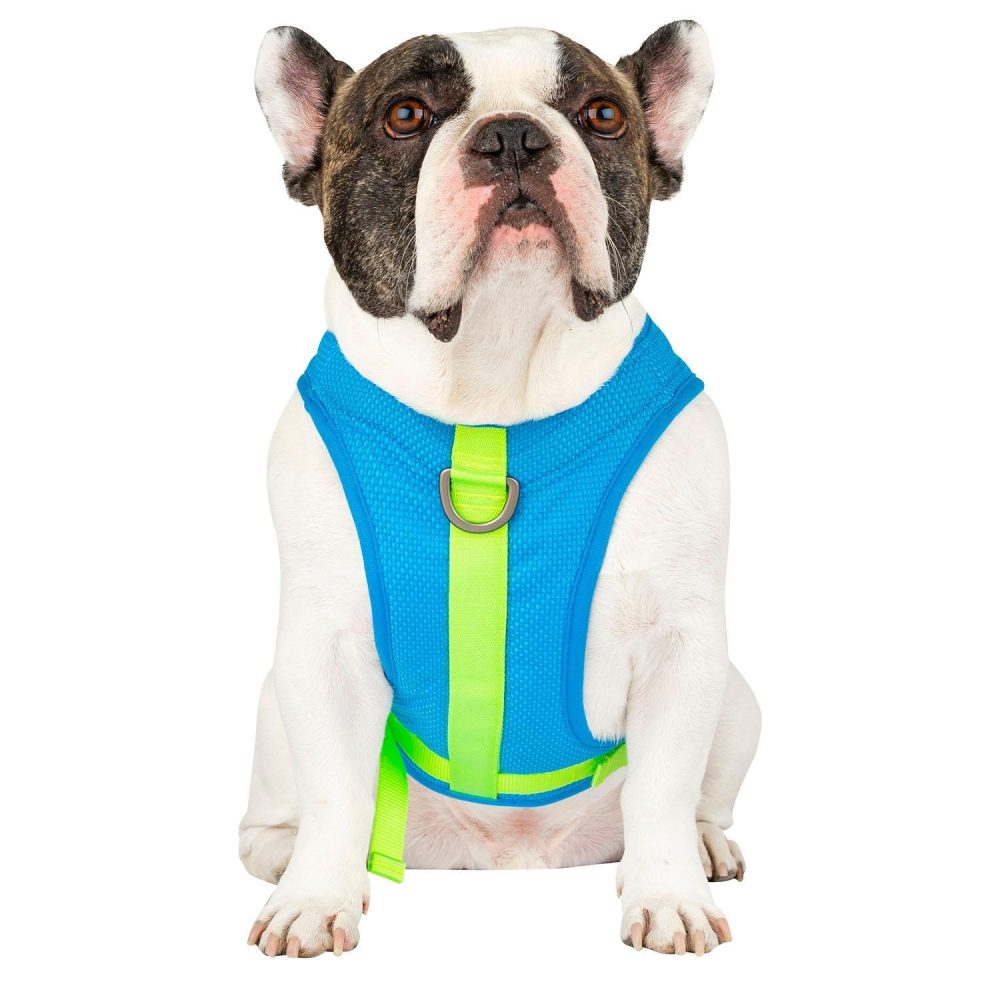 Chill Seeker Blue Cooling Harness | Collars, Leashes & Harnesses Collars, Leashes & Harnesses Collars, Leashes & Harnesses