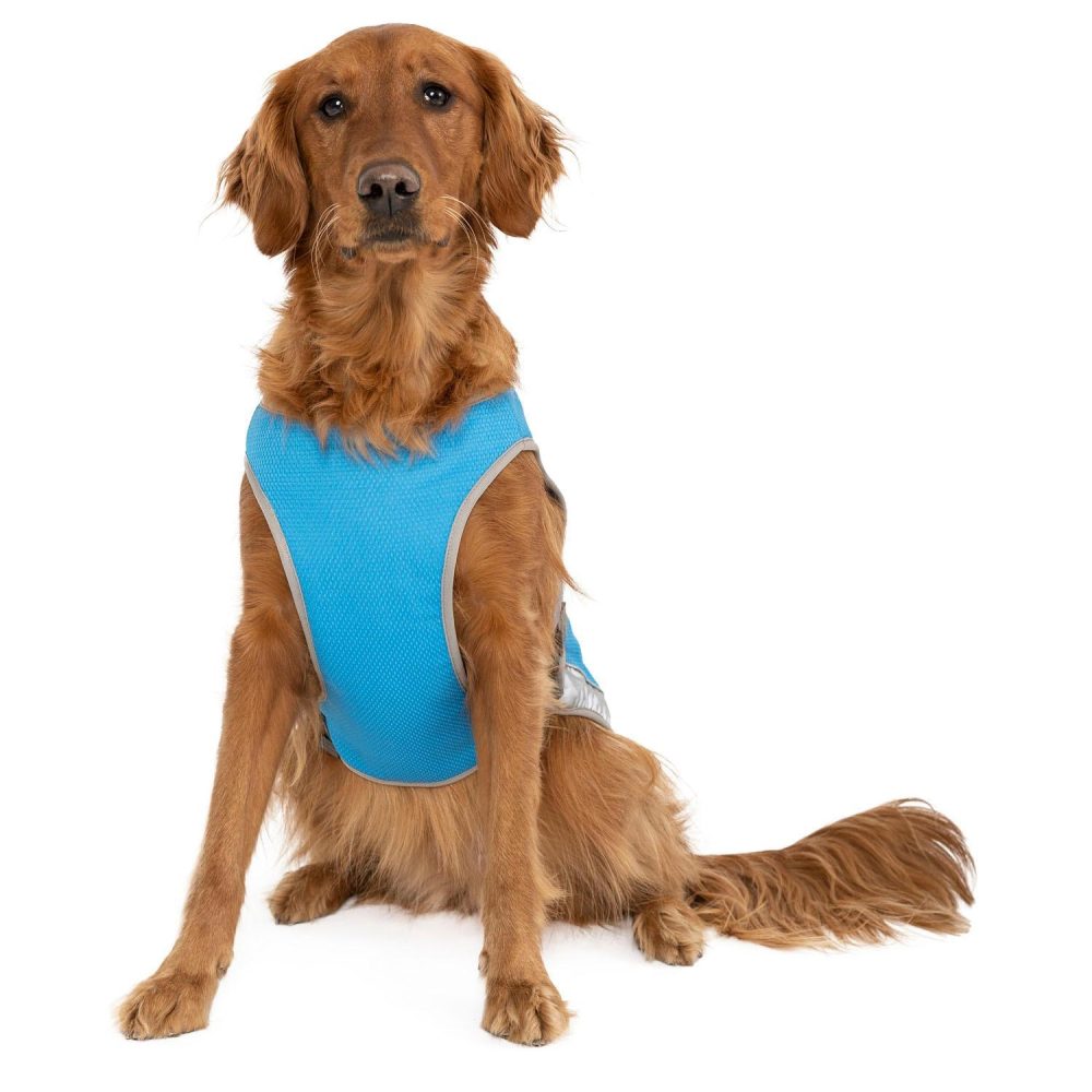 Chill Seeker Blue Cooling Vest | Clothing & Accessories Clothing & Accessories Clothing & Accessories