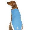 Chill Seeker Blue Cooling Vest | Clothing & Accessories Clothing & Accessories Clothing & Accessories