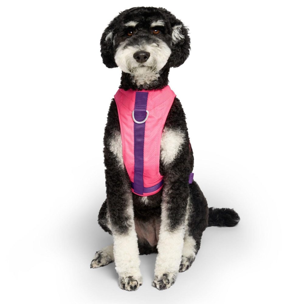 Chill Seeker Neon Pink Cooling Harness | Collars, Leashes & Harnesses Collars, Leashes & Harnesses Collars, Leashes & Harnesses