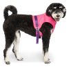 Chill Seeker Neon Pink Cooling Harness | Collars, Leashes & Harnesses Collars, Leashes & Harnesses Collars, Leashes & Harnesses