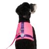 Chill Seeker Neon Pink Cooling Harness | Collars, Leashes & Harnesses Collars, Leashes & Harnesses Collars, Leashes & Harnesses