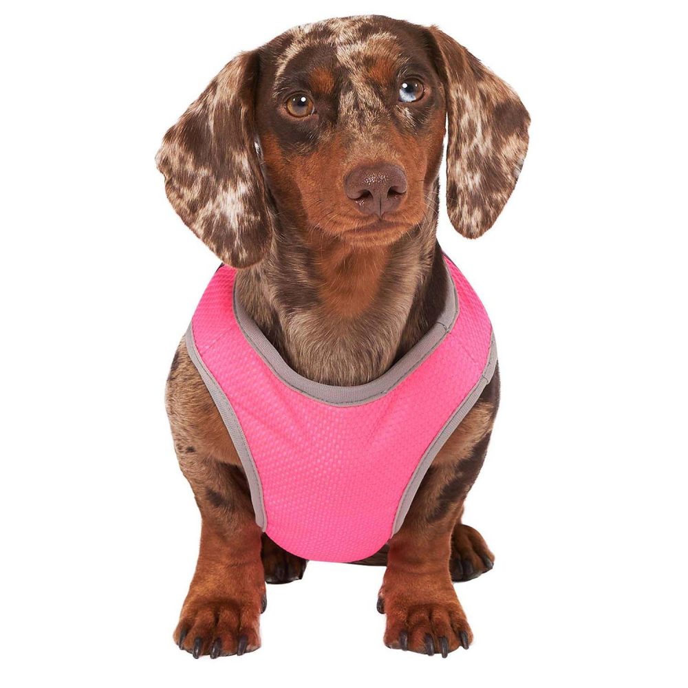 Chill Seeker Neon Pink Cooling Vest | Clothing & Accessories Clothing & Accessories Clothing & Accessories