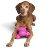 Chill Seeker Pink Hippo Cooling Pals Dog Toy | Toys Dog Dog