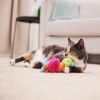 Chirpy Bird Cat Toy | Toys Cat Cat