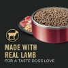 Classic Sensitive Skin & Stomach Lamb & Oat Meal Entree Adult Dog Food / 13 oz – 12 pk | Wet Food Dog Dog