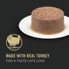 Classic Urinary Tract Health Turkey & Giblets Entree Adult Cat Food / 5.5 oz – 24 pk | Wet Food Cat Cat