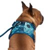 Complete Control Blue Marble Dog Harness | Collars, Leashes & Harnesses Collars, Leashes & Harnesses Collars, Leashes & Harnesses